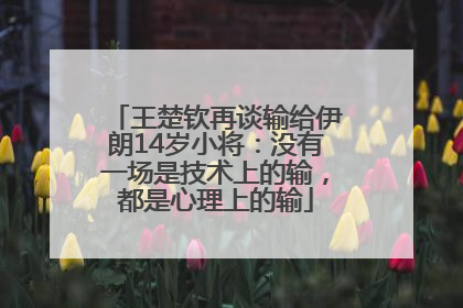 王楚钦再谈输给伊朗14岁小将：没有一场是技术上的输，都是心理上的输