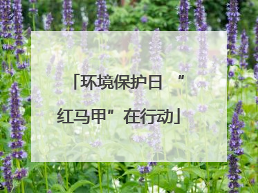 环境保护日 “红马甲”在行动