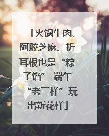 火锅牛肉、阿胶芝麻、折耳根也是“粽子馅” 端午“老三样”玩出新花样