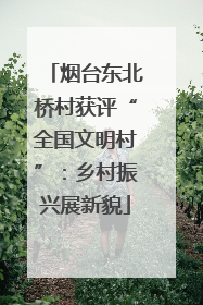 烟台东北桥村获评“全国文明村”：乡村振兴展新貌