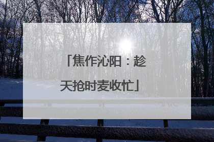 焦作沁阳：趁天抢时麦收忙