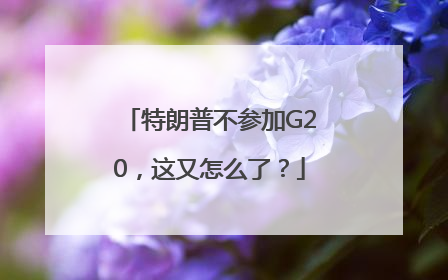 特朗普不参加G20，这又怎么了？
