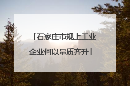 石家庄市规上工业企业何以量质齐升