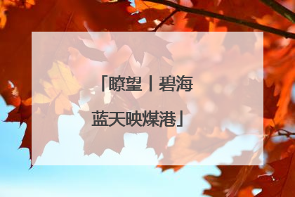 瞭望丨碧海蓝天映煤港