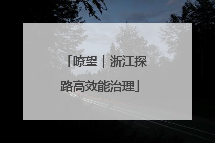 瞭望｜浙江探路高效能治理