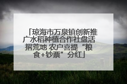 琼海市万泉镇创新推广水稻种植合作社盘活撂荒地 农户喜提“粮食+钞票”分红