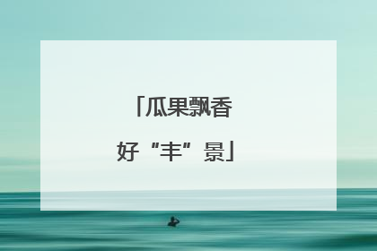 瓜果飘香 好“丰”景