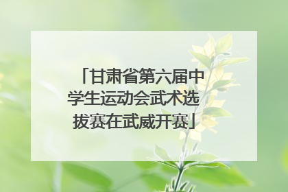 甘肃省第六届中学生运动会武术选拔赛在武威开赛