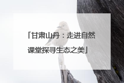 甘肃山丹：走进自然课堂探寻生态之美