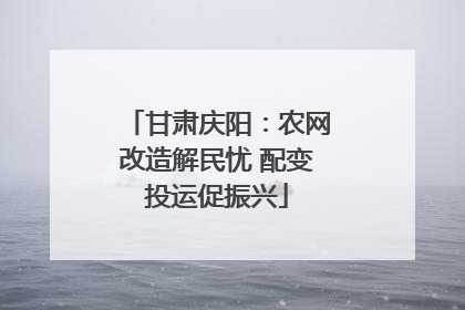 甘肃庆阳：农网改造解民忧 配变投运促振兴