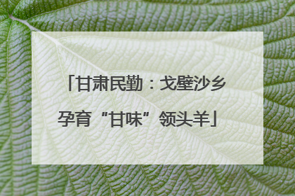 甘肃民勤：戈壁沙乡孕育“甘味”领头羊