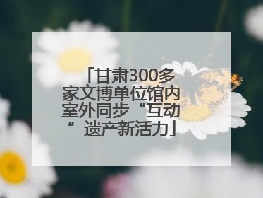 甘肃300多家文博单位馆内室外同步“互动”遗产新活力