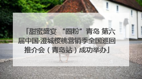甜蜜盛宴 “圈粉”青岛 第六届中国·澄城樱桃营销季全国巡回推介会（青岛站）成功举办