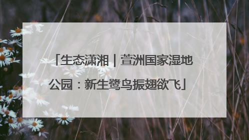 生态潇湘｜萱洲国家湿地公园：新生鹭鸟振翅欲飞