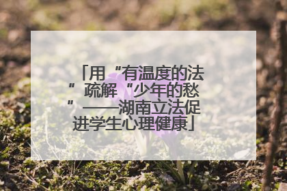 用“有温度的法”疏解“少年的愁”——湖南立法促进学生心理健康