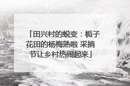 田兴村的蜕变：栀子花田的杨梅熟啦 采摘节让乡村热闹起来