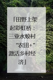 田野上架起彩虹桥：三亚水蛟村“农田+”激活乡村经济