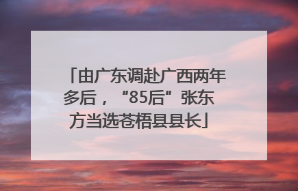 由广东调赴广西两年多后，“85后”张东方当选苍梧县县长