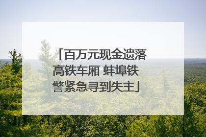 百万元现金遗落高铁车厢 蚌埠铁警紧急寻到失主