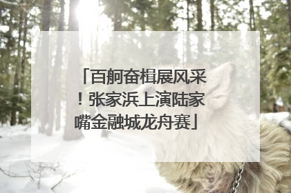 百舸奋楫展风采！张家浜上演陆家嘴金融城龙舟赛