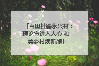 百里杜鹃永兴村：理论宣讲入人心 和美乡村焕新颜