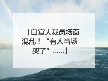 白宫大裁员场面混乱！“有人当场哭了”……