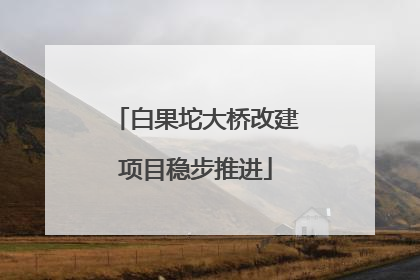 白果坨大桥改建项目稳步推进