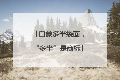 白象多半袋面，“多半”是商标