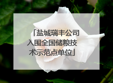 盐城瑞丰公司入围全国储粮技术示范点单位