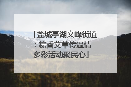 盐城亭湖文峰街道：粽香艾草传温情 多彩活动聚民心