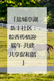 盐城亭湖新丰社区：粽香传情迎端午 共建共享促和谐