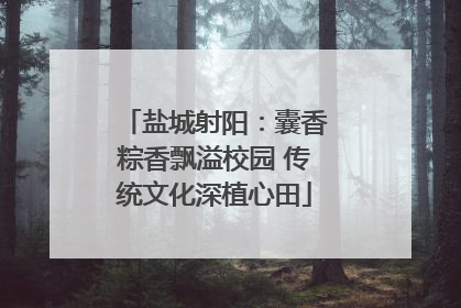 盐城射阳：囊香粽香飘溢校园 传统文化深植心田