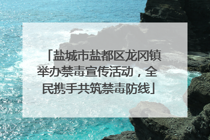 盐城市盐都区龙冈镇举办禁毒宣传活动，全民携手共筑禁毒防线