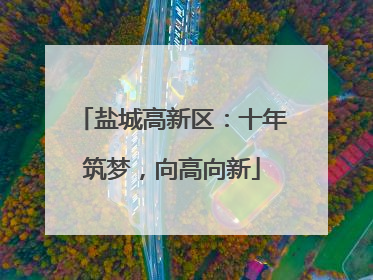 盐城高新区：十年筑梦，向高向新