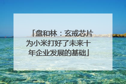 盘和林：玄戒芯片为小米打好了未来十年企业发展的基础