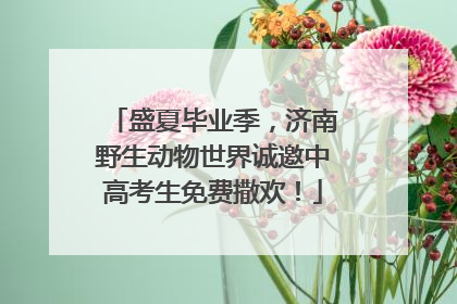 盛夏毕业季，济南野生动物世界诚邀中高考生免费撒欢！