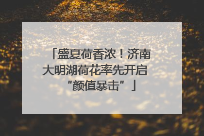 盛夏荷香浓！济南大明湖荷花率先开启“颜值暴击”