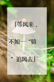 等风来，不如一“骑”追风去