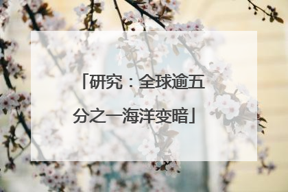研究：全球逾五分之一海洋变暗
