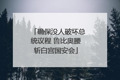 确保没人破坏总统议程 鲁比奥腰斩白宫国安会