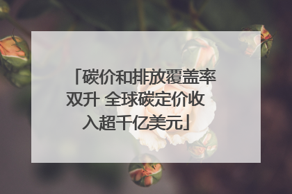 碳价和排放覆盖率双升 全球碳定价收入超千亿美元