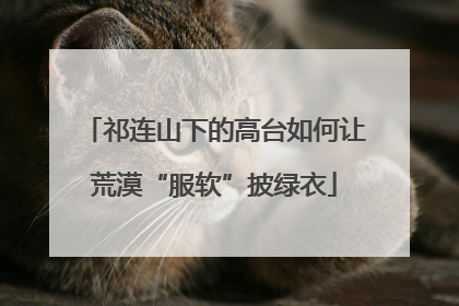 祁连山下的高台如何让荒漠“服软”披绿衣