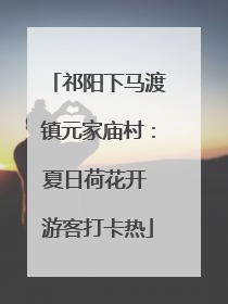 祁阳下马渡镇元家庙村：夏日荷花开 游客打卡热
