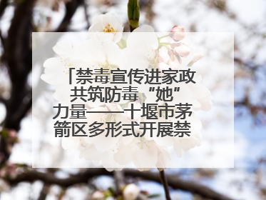 禁毒宣传进家政 共筑防毒“她”力量——十堰市茅箭区多形式开展禁毒宣传活动