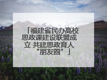 福建省民办高校思政课建设联盟成立 共建思政育人“朋友圈”