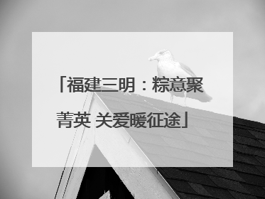福建三明：粽意聚菁英 关爱暖征途