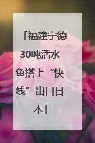 福建宁德30吨活水鱼搭上“快线”出口日本