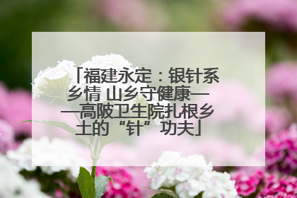 福建永定：银针系乡情 山乡守健康——高陂卫生院扎根乡土的“针”功夫