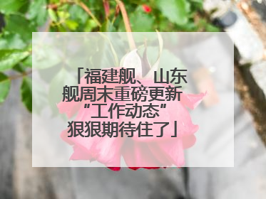 福建舰、山东舰周末重磅更新“工作动态” 狠狠期待住了