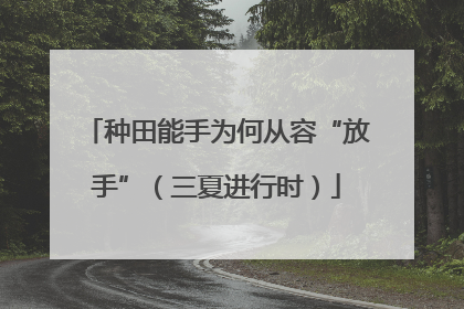 种田能手为何从容“放手”（三夏进行时）